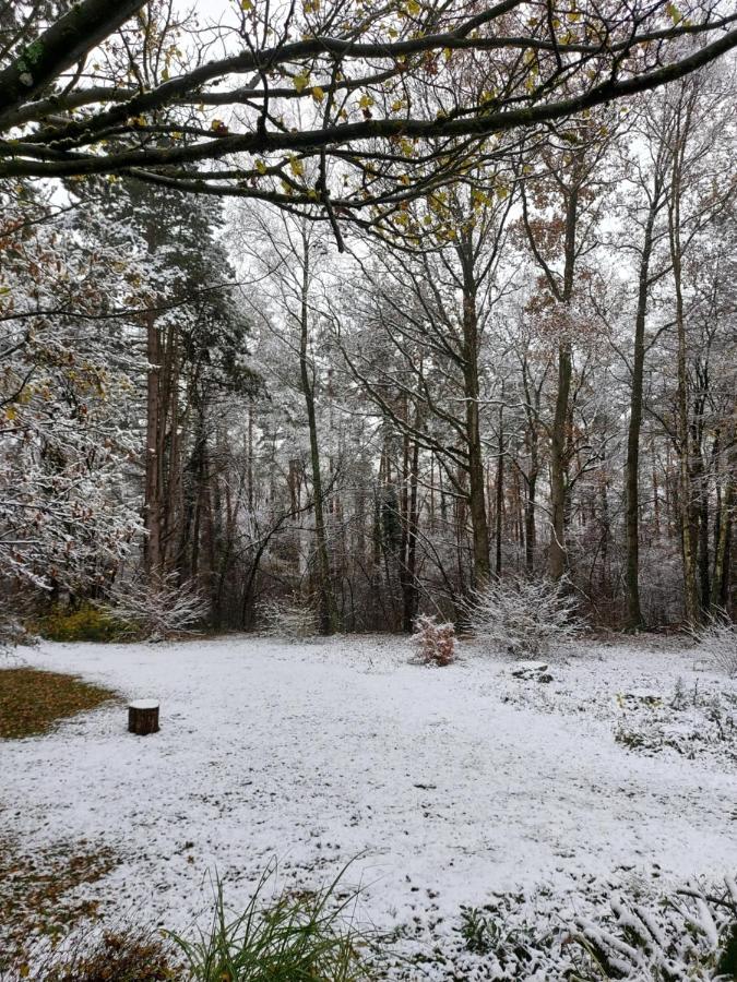 Chalet Des Pins D'Autriche Comblain-Fairon Dış mekan fotoğraf
