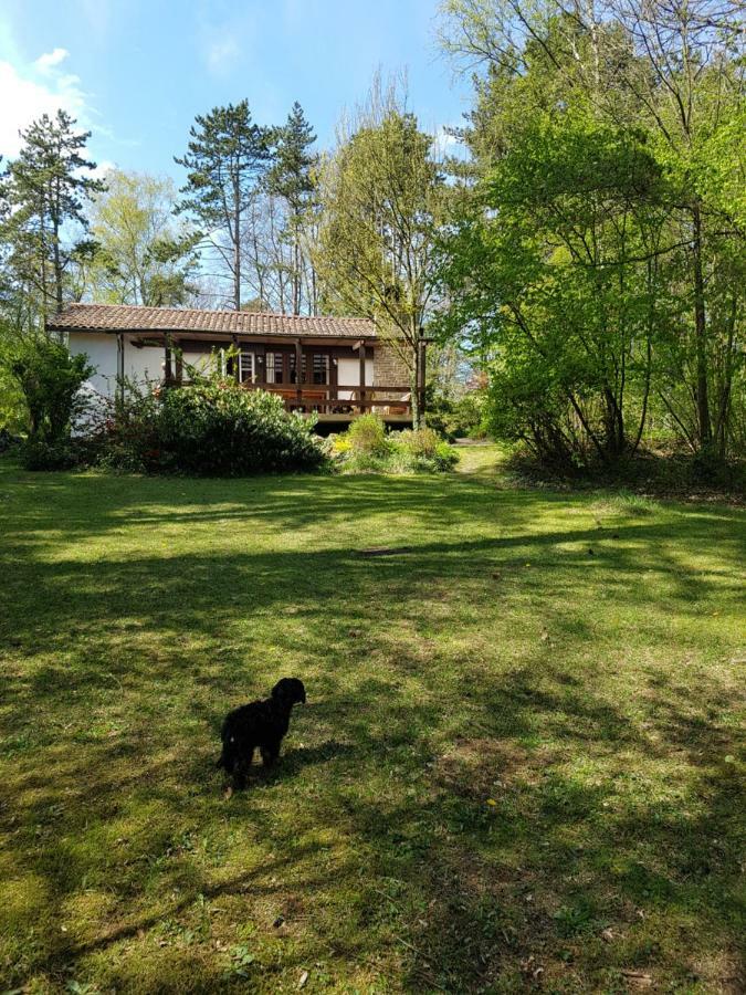 Chalet Des Pins D'Autriche Comblain-Fairon Dış mekan fotoğraf