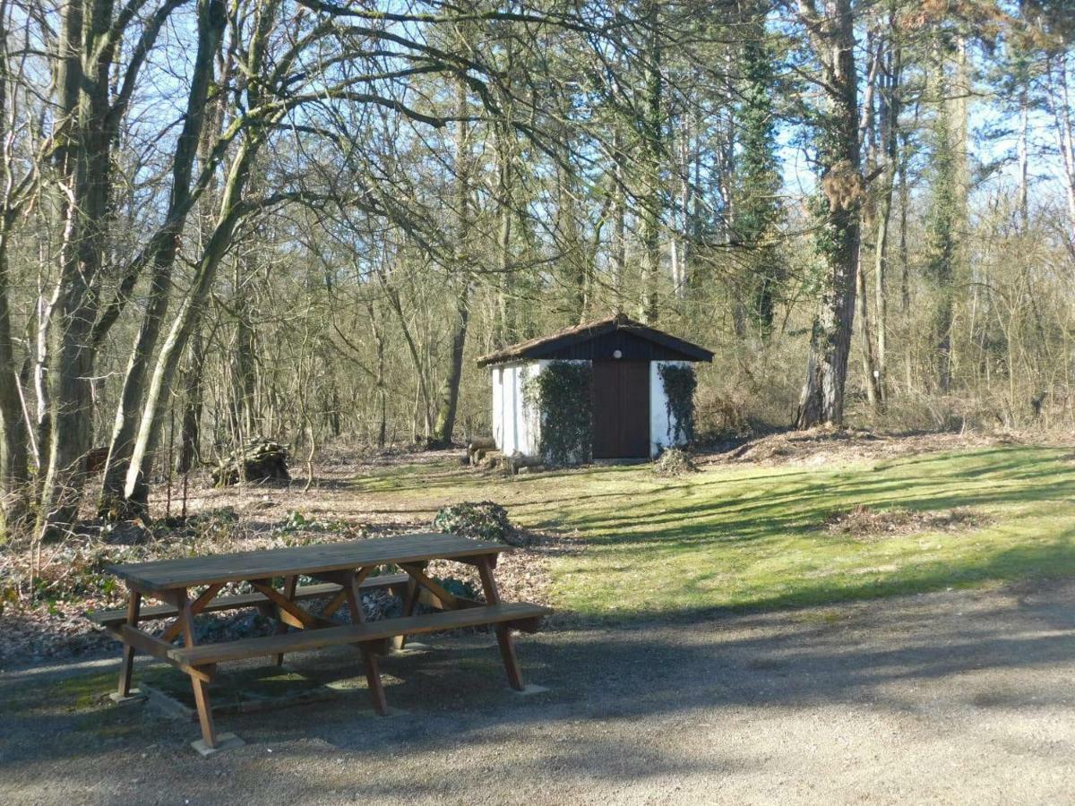 Chalet Des Pins D'Autriche Comblain-Fairon Dış mekan fotoğraf